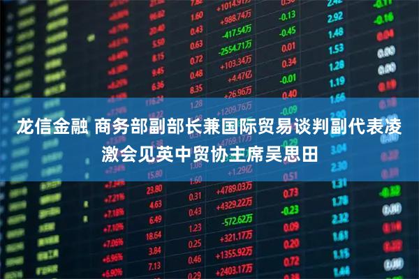龙信金融 商务部副部长兼国际贸易谈判副代表凌激会见英中贸协主席吴思田
