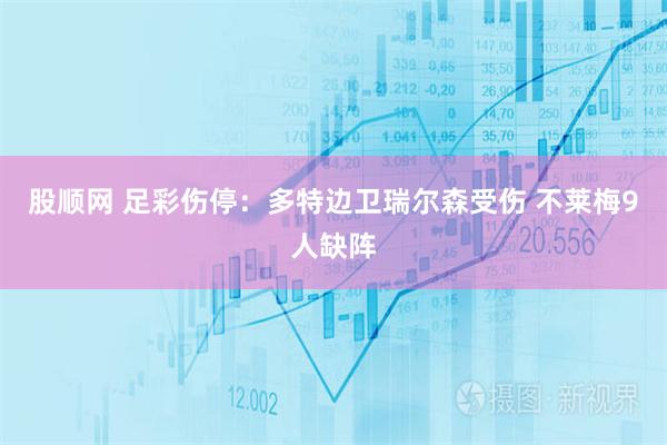 股顺网 足彩伤停：多特边卫瑞尔森受伤 不莱梅9人缺阵